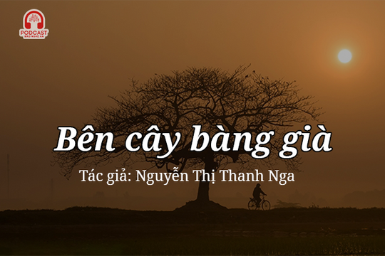 Đọc truyện đêm khuya: Bên cây bàng già