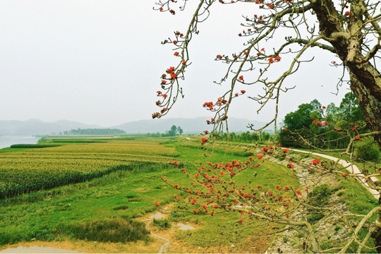 Thời tiết Nghệ An ngày 2/3: Sáng sớm có sương mù, ngày trời nắng