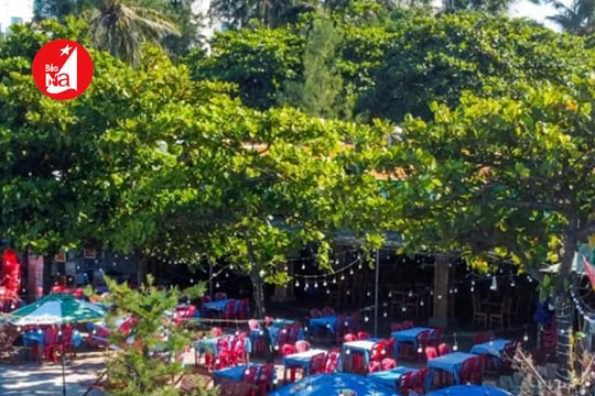 Thành phố Vinh sẽ lắp hệ thống tắm tráng miễn phí dọc bãi tắm Cửa Lò