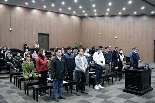 3 cựu phó giám đốc sở trong vụ “chuyến bay giải cứu” giai đoạn 2 xin giảm nhẹ hình phạt