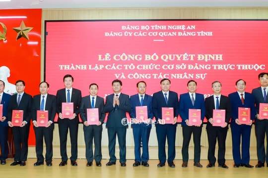 Công bố quyết định thành lập 20 tổ chức cơ sở đảng thuộc Đảng ủy Các cơ quan Đảng tỉnh Nghệ An