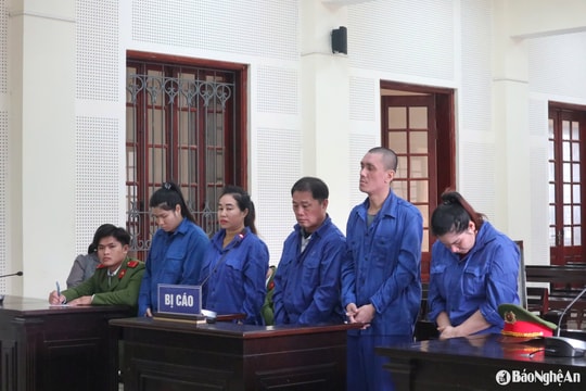 Nguỵ trang ma túy trong túi dưa chuột