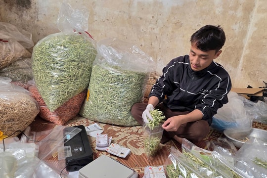 Anh nông dân trẻ ở Nghệ An chia sẻ cách bán 1.000 đơn hàng qua mạng