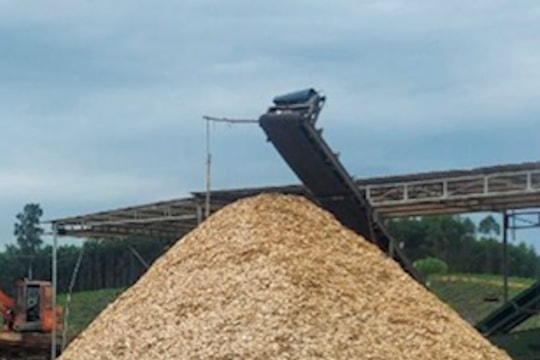 Con Cuông ra văn bản yêu cầu xưởng băm dăm gỗ trái phép dừng hoạt động