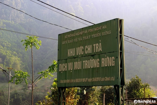 Bảo vệ rừng, tạo sinh kế bền vững nơi biên giới xứ Nghệ