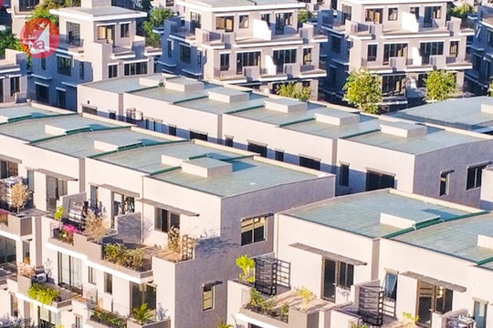 Nghệ An yêu cầu nối lại đấu giá đất sau 5 tháng gián đoạn