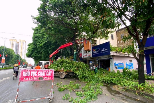 Tiếp tục thoái vốn nhà nước tại các doanh nghiệp công ích tại Nghệ An