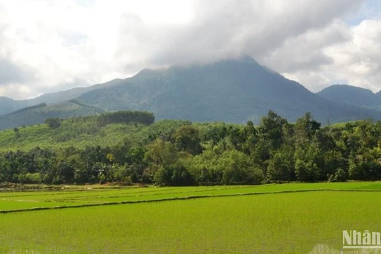 Khởi nghĩa Ba Tơ - bài học sâu sắc về lấy dân là gốc