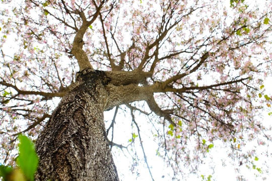 Thời tiết Nghệ An ngày 11/3: Trời rét về đêm và sáng