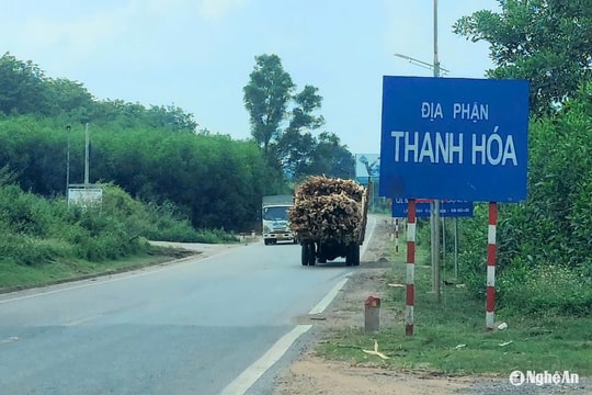 Thời tiết Hà Tĩnh, Thanh Hóa ngày 19/3: Vùng núi cao có nơi rét đậm