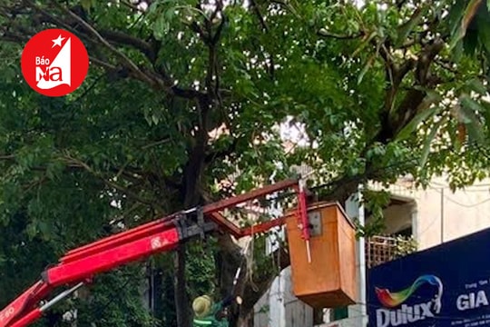 Nghệ An đẩy mạnh thoái vốn nhà nước tại doanh nghiệp công ích