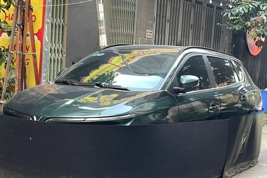 Tài xế chia sẻ mẹo chống chuột hiệu quả, tiết kiệm cho ô tô