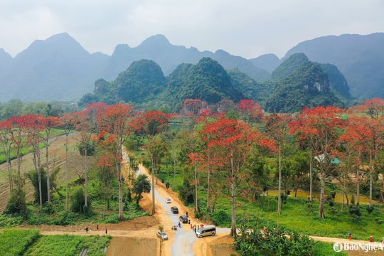 Lễ hội Hoa gạo ở Anh Sơn thu hút hàng ngàn người tham gia