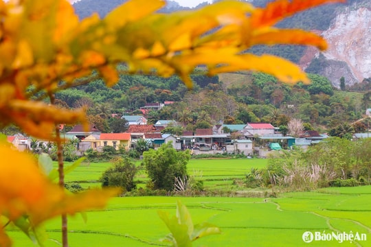 Dự báo thời tiết Nghệ An ngày 15/3: Ngày nắng, đêm có mưa vài nơi