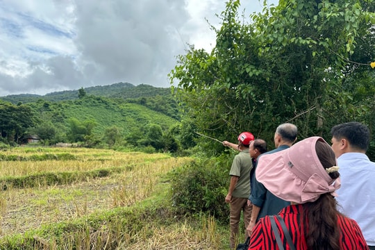 Tham vấn dự án về Giới, Biến đổi khí hậu và Quản trị cảnh quan rừng