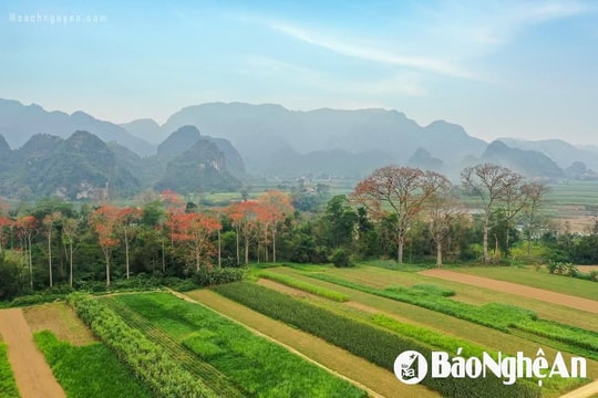 Thời tiết Nghệ An ngày 16/3: Trời chuyển rét