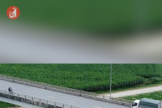 Nhức nhối tình trạng người dân xả rác bừa bãi xuống sông Lam