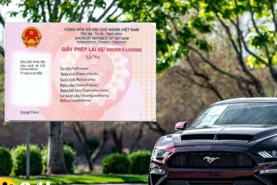 Điều kiện hạn chế và mã số điều kiện hạn chế của Giấy phép lái xe mới nhất 2025