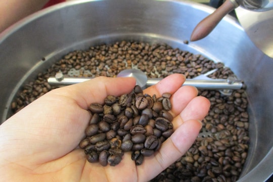 Giá cà phê hôm nay 18/3/2025: Tiếp tục tăng nhẹ