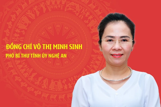 Infographic: Chân dung tân Phó Bí thư Tỉnh ủy Nghệ An Võ Thị Minh Sinh