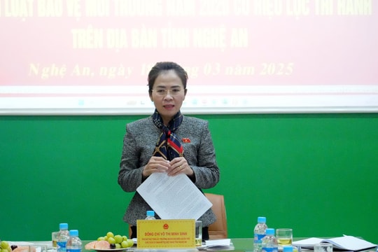 Đoàn đại biểu Quốc hội tỉnh Nghệ An giám sát việc bảo vệ môi trường tại khu công nghiệp Nam Cấm