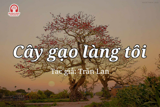 Tản văn hay: Cây gạo làng tôi