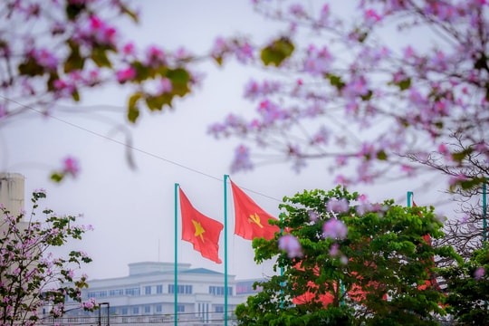 Thời tiết Nghệ An ngày 22/3: Ngày trời nắng, đêm trở rét