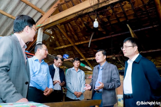 Chủ tịch UBND tỉnh Nghệ An yêu cầu khẩn trương cấp đất, hỗ trợ xóa nhà tạm cho người Đan Lai ở Con Cuông