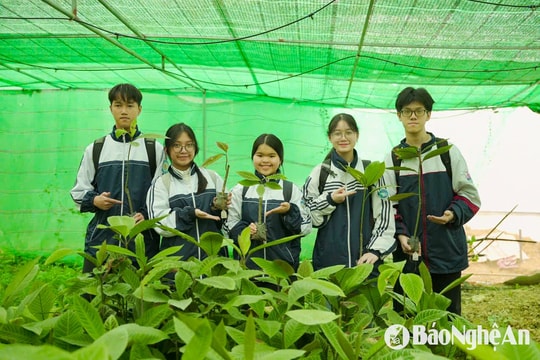 Nhóm học sinh Nghệ An ứng dụng công nghệ khai thác tiềm năng dược liệu dưới tán rừng