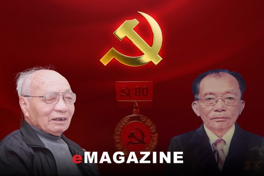 Tám mươi năm ấy biết bao nhiêu tình