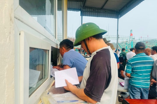 Nghệ An niêm yết danh sách 295 tàu cá nguy cơ cao vi phạm hoạt động khai thác IUU