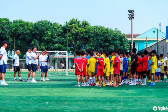 Sông Lam Nghệ An và những giải pháp quyết liệt chống gian lận tuổi