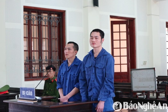 Hai anh em họ lĩnh án tử hình vì vận chuyển 8kg ma túy