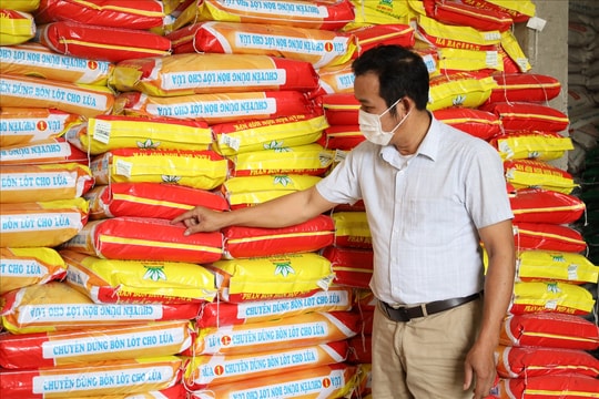 Giá phân bón hôm nay 1/4/2025: Phân Ure tăng mạnh