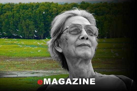 Mãi dâng cho đời bài tình ca Đất Phương Nam