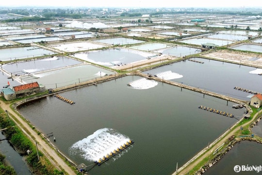 Thời tiết Nghệ An ngày 3/4: Đêm và sáng trời rét