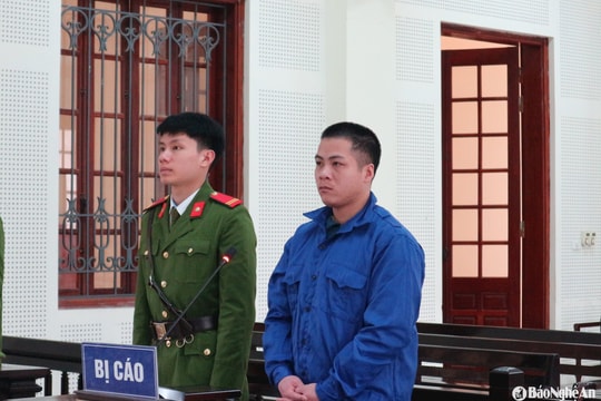 Vào rừng tìm mua ma túy, con nghiện lĩnh án tù