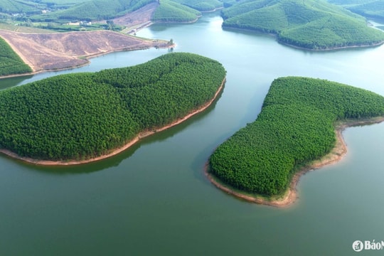 Ve Vung Dam – The emerald gem of Yen Thanh’s rice land