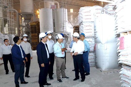 Gắn sắp xếp đơn vị hành chính với việc khuyến khích doanh nghiệp tại Quỳ Hợp tham gia tích cực vào phát triển kinh tế - xã hội