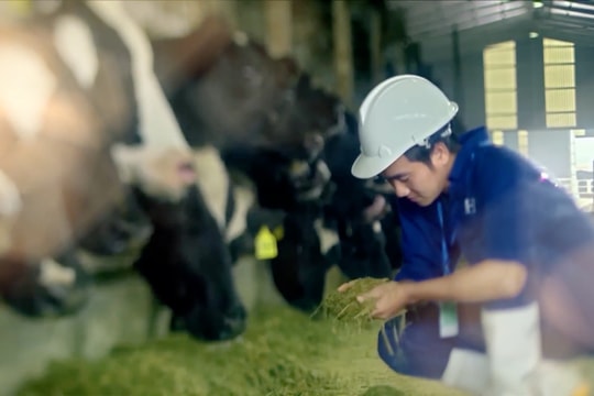 2 công ty của Tập đoàn TH đạt chứng nhận đạt trung hòa carbon