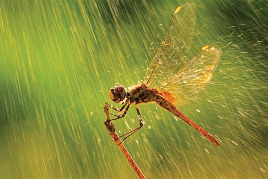 Thời tiết Thanh Hóa – Hà Tĩnh ngày 8/4: Ngày nắng, chiều tối có mưa rào cục bộ