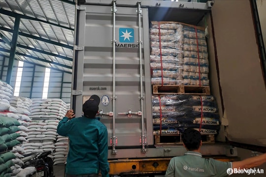 Doanh nghiệp Nghệ An đứng trước lệnh áp thuế mới của Mỹ