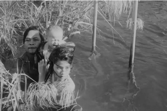 Tiết lộ về kiệt tác phim Việt 'Cánh đồng hoang'