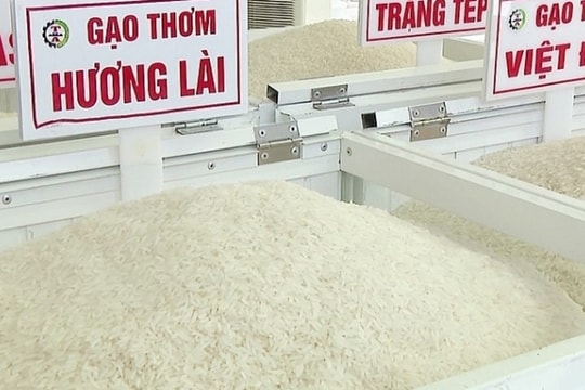 Giá gạo hôm nay 9/4: Gạo nguyên liệu bật tăng
