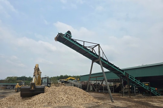 Cần xử lý nghiêm xưởng băm dăm gỗ trái phép 'cưỡng lệnh' đình chỉ ở huyện Con Cuông