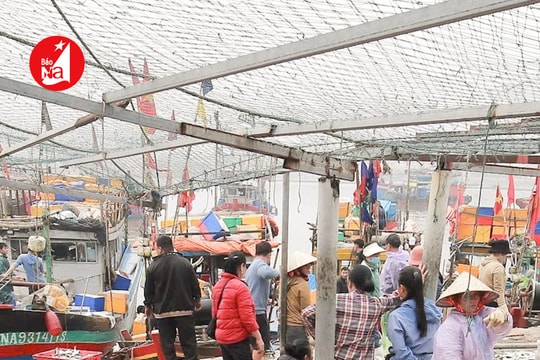 Du lịch Nghệ An ‘vào vụ’ 2025 với nguồn hải sản tươi ngon, độc đáo