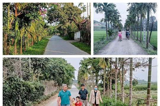 Xã Phong Thịnh (huyện Thanh Chương) đón nhận Bằng công nhận đạt chuẩn nông thôn mới nâng cao năm 2024: Vươn mình từ vùng quê khó thành điểm sáng