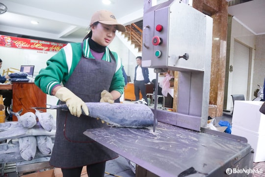 Nghệ An chuẩn bị nguồn hải sản tươi ngon, phong phú cho mùa du lịch