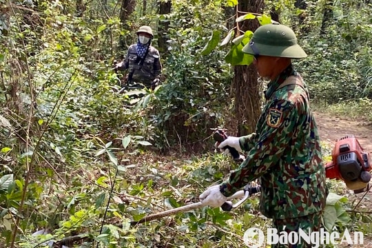 Nghệ An: Xử lý thực bì, phòng chống cháy rừng trước mùa nắng nóng