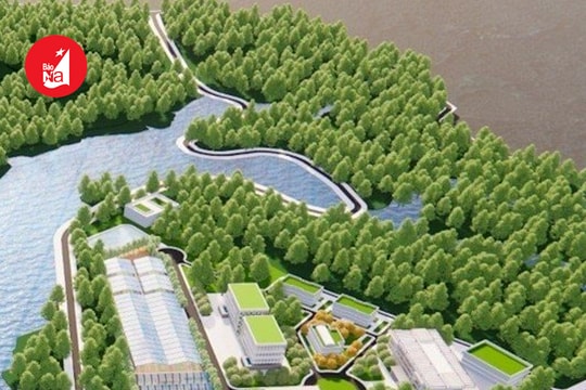 Thủ tướng phê duyệt quy hoạch Khu lâm nghiệp công nghệ cao tại Nghi Lộc và Đô Lương